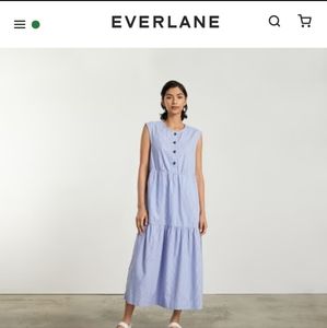 Everlane tiered Midi dress